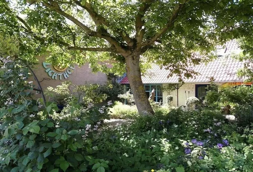 Retkeilymaja Gastehaus Und Cafe   Lichthof