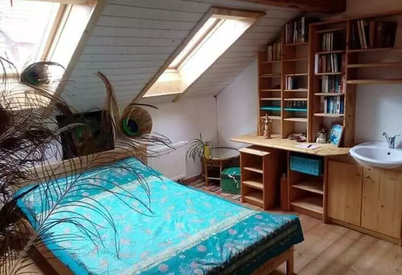 Retkeilymaja Gastehaus Und Cafe   Lichthof