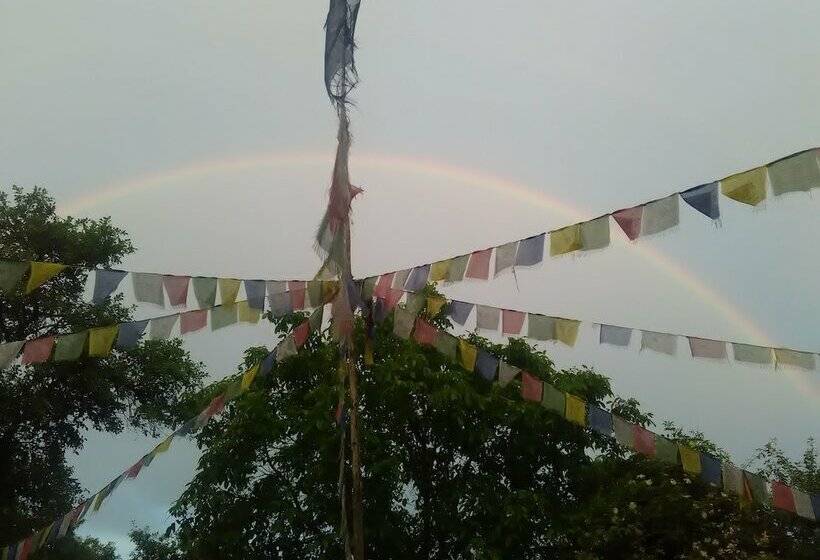 ユースホステル Gastehaus Und Cafe   Lichthof