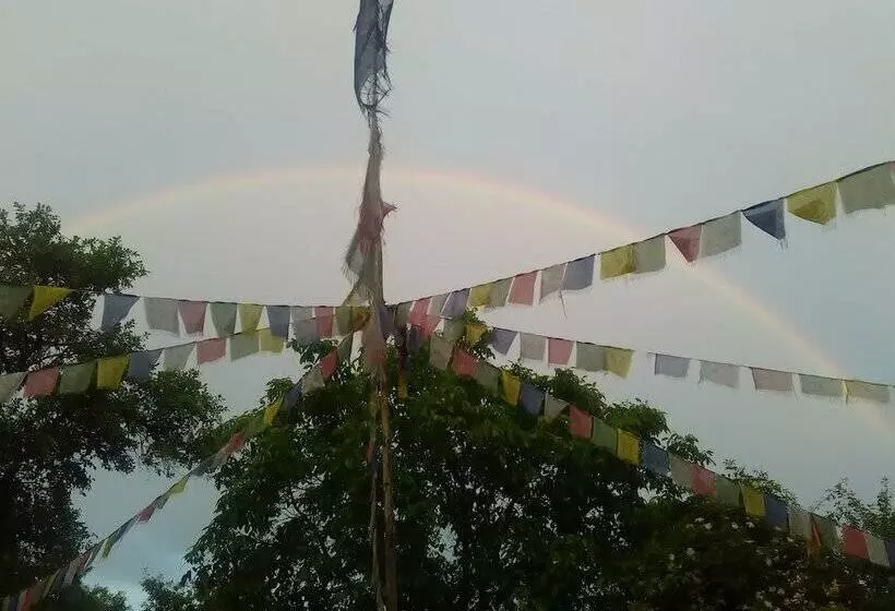 Retkeilymaja Gastehaus Und Cafe   Lichthof