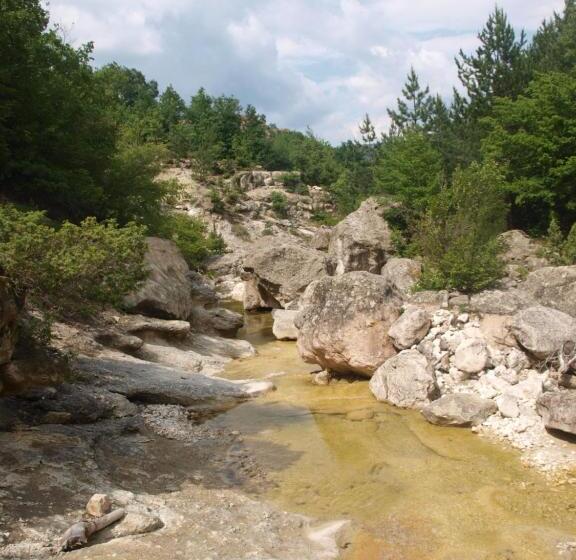 ベッドアンドブレックファースト Lakeview Estate Apart