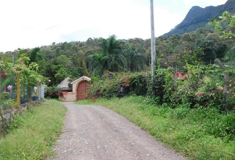 酒店 Finca Cafetera Las Mercedes