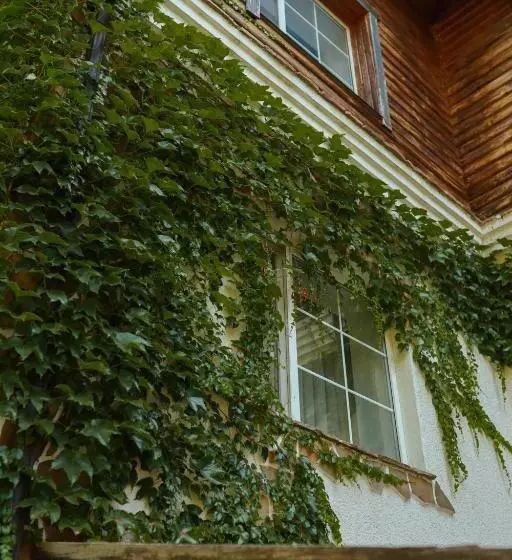 Hotelli Orlinoye Gnezdo