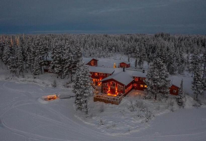 فندق Pinetree Lodge