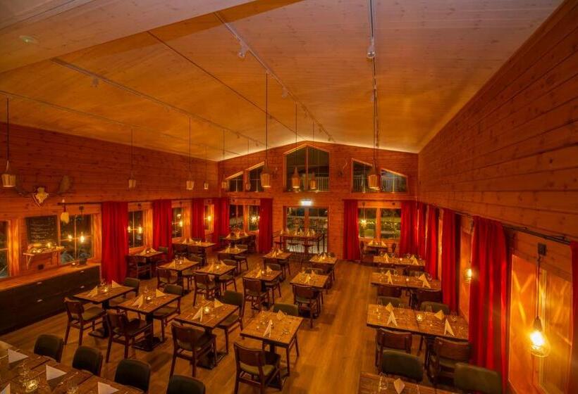 فندق Pinetree Lodge