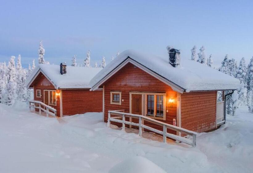 فندق Pinetree Lodge