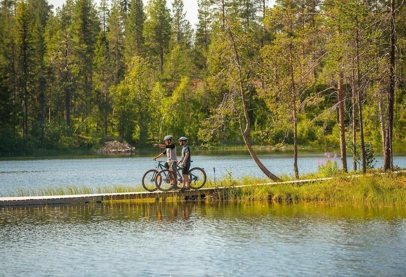 فندق Pinetree Lodge