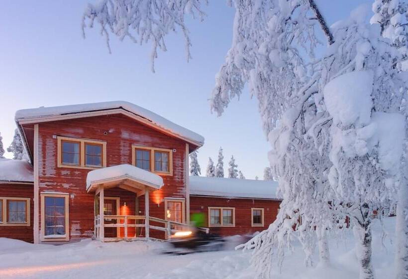 فندق Pinetree Lodge