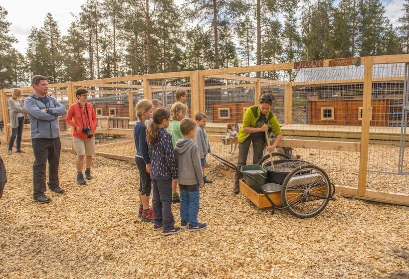 فندق Pinetree Lodge