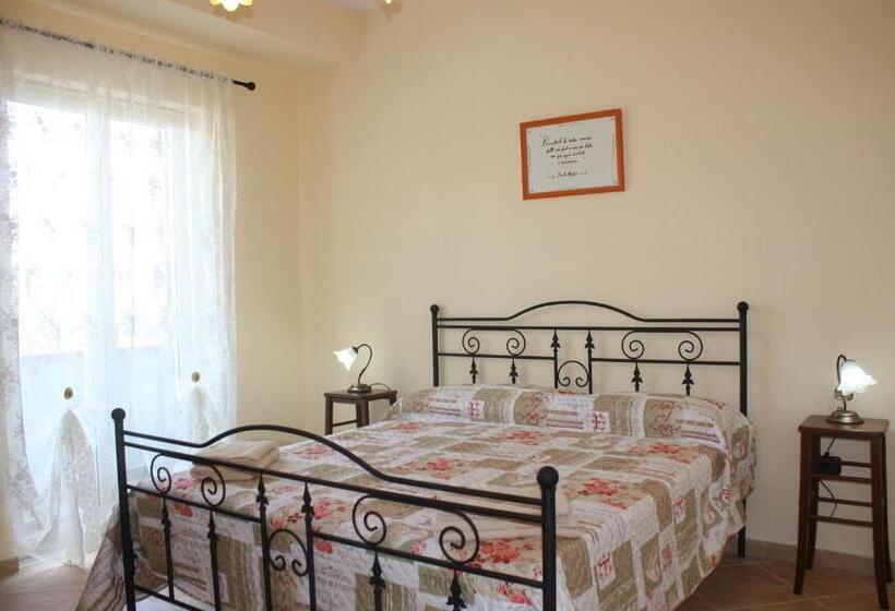 Libro Di Sogni   B&b Letterario