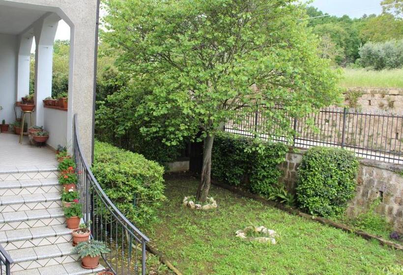 Libro Di Sogni   B&b Letterario