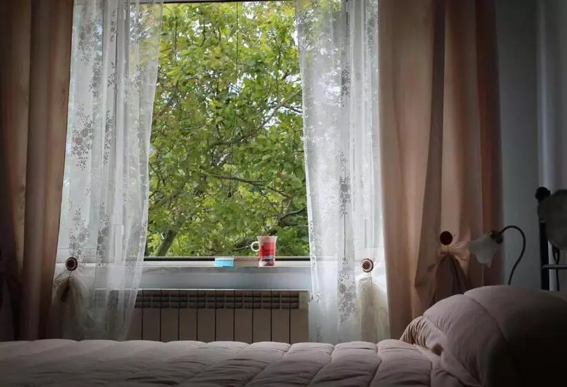 Libro Di Sogni   B&b Letterario