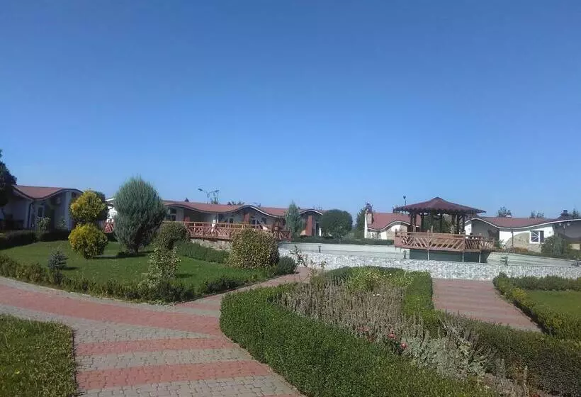 Motelli грк золота підкова