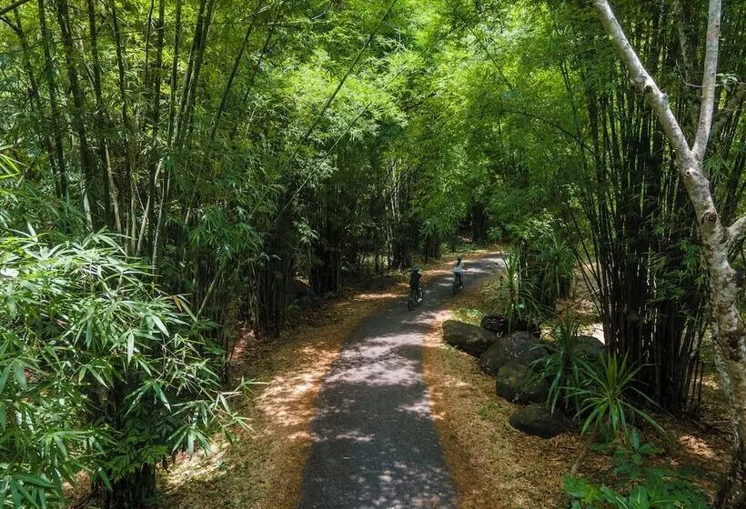 Namkat Yorla Pa Resort