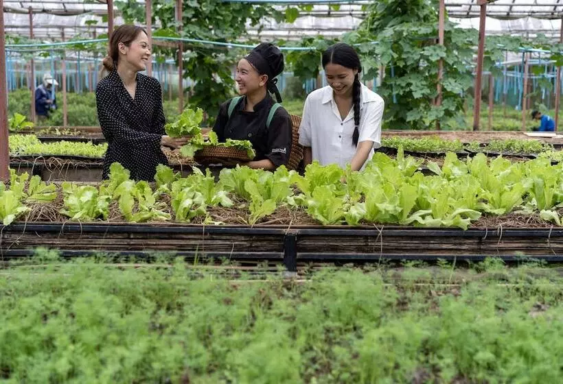 Namkat Yorla Pa Resort