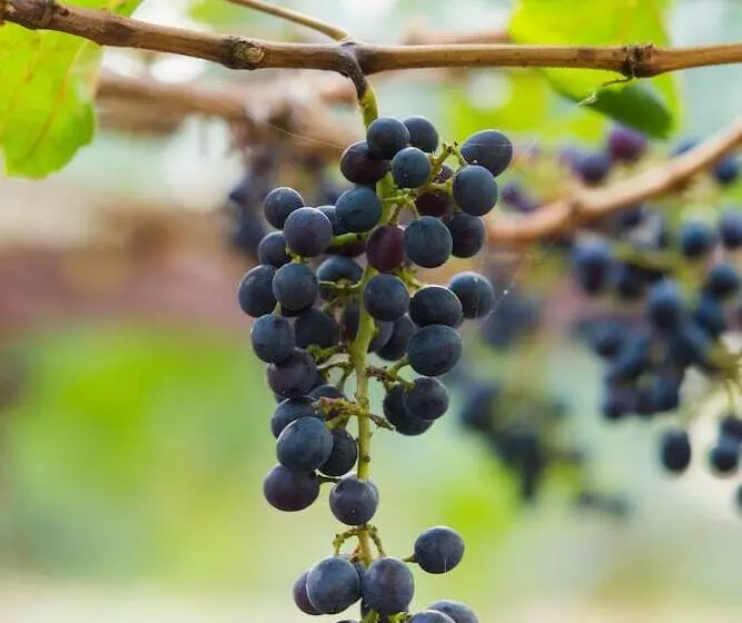 Namkat Yorla Pa Resort