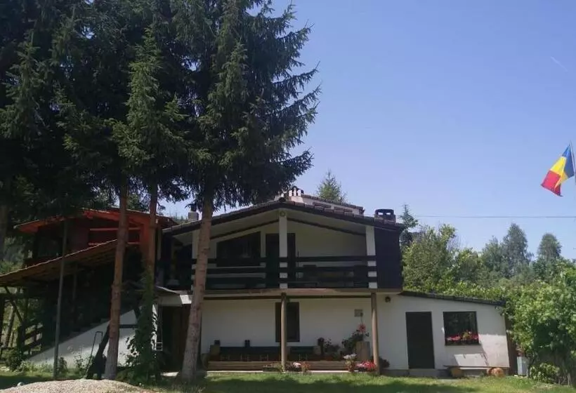 ペンション Alpinlife