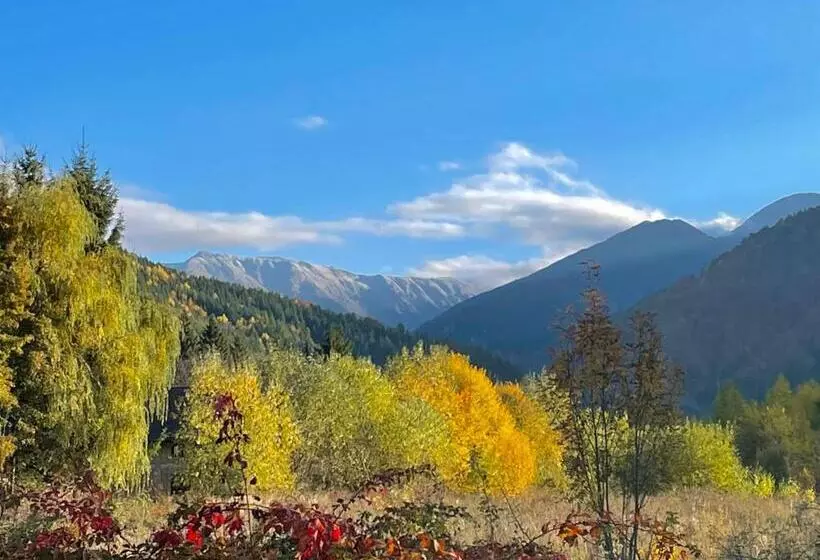 ペンション Alpinlife