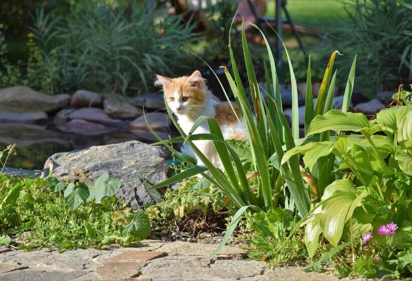 ペンション Golden Horn Guest House