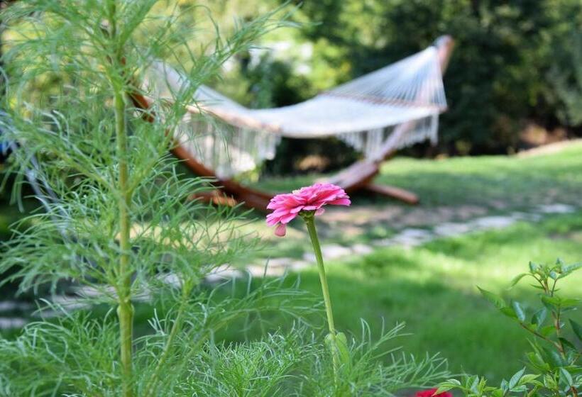 ペンション Golden Horn Guest House