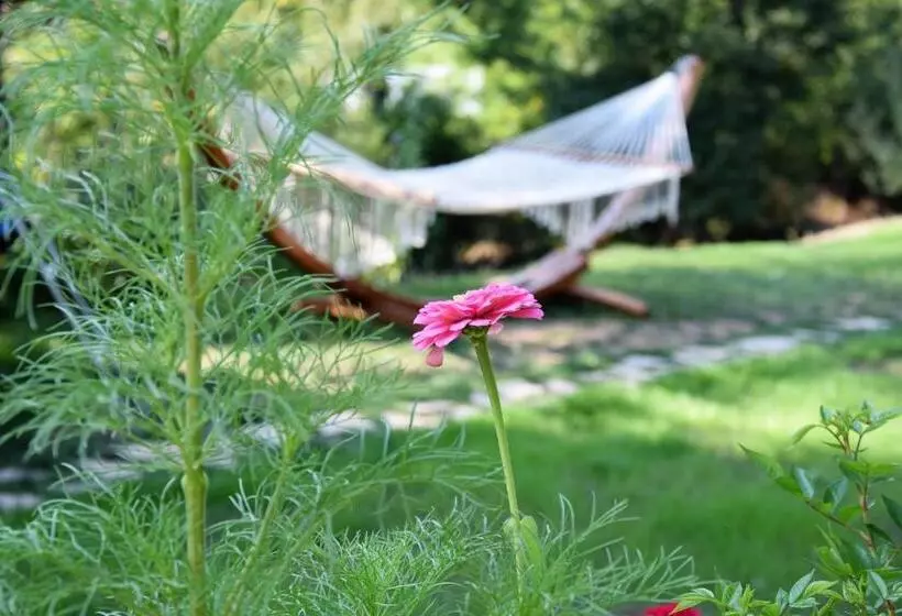 Majatalo Golden Horn Guest House