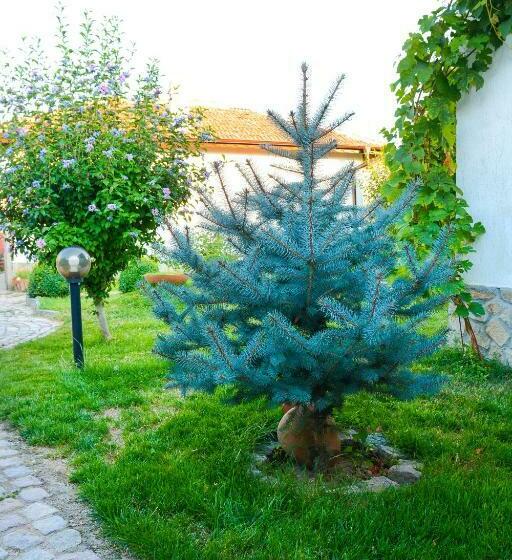 Пансион Guest House Raiski Kаt