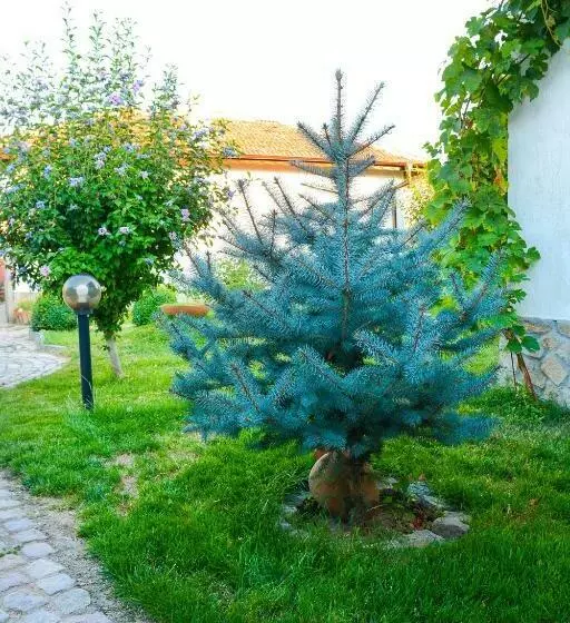 Majatalo Guest House Raiski Kаt