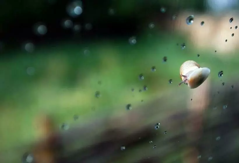 پانسیون Guesthouse Karaivan