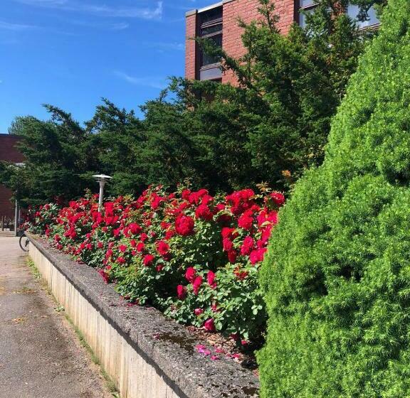 فندق & Hostel Silmu