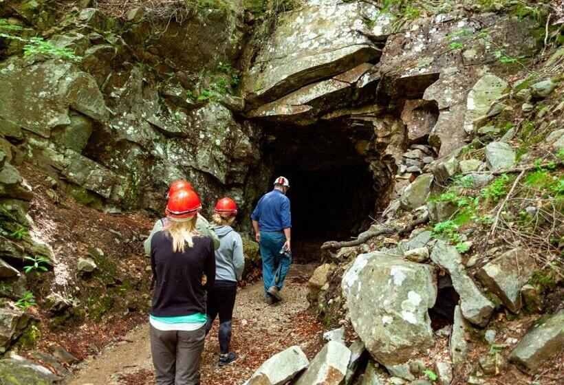 호텔 Pension Bellevue Gondo