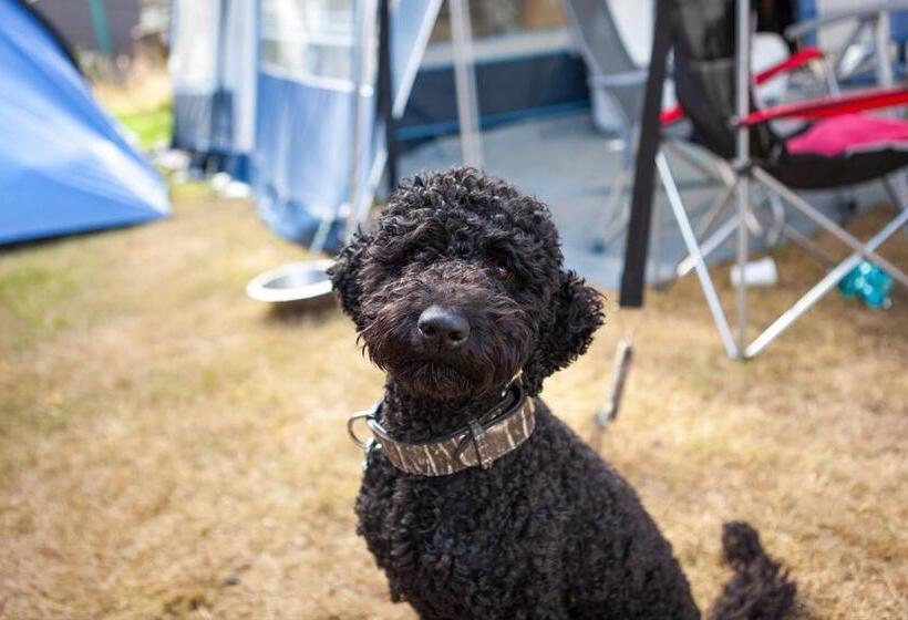 אתר נופש Pm Dennendijk Mobile Home 4p