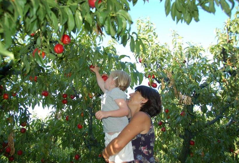 Agriturismo Il Sentiero