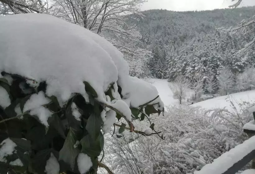 Aamiaismajoitus (B&B) Landsitz Oberhof Petit Hôtel