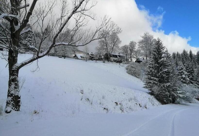 住宿加早餐  Landsitz Oberhof Petit Hôtel
