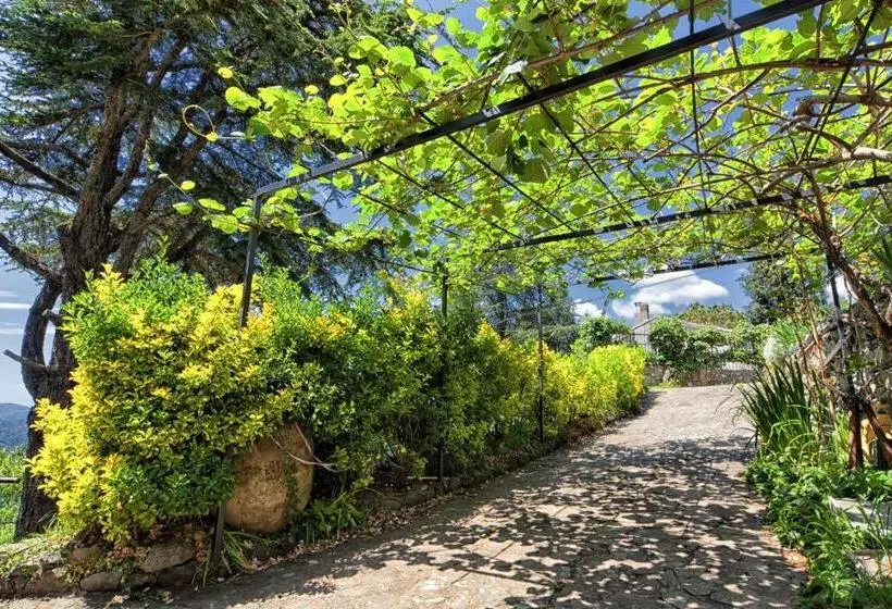 Aamiaismajoitus (B&B) Oasi Verde