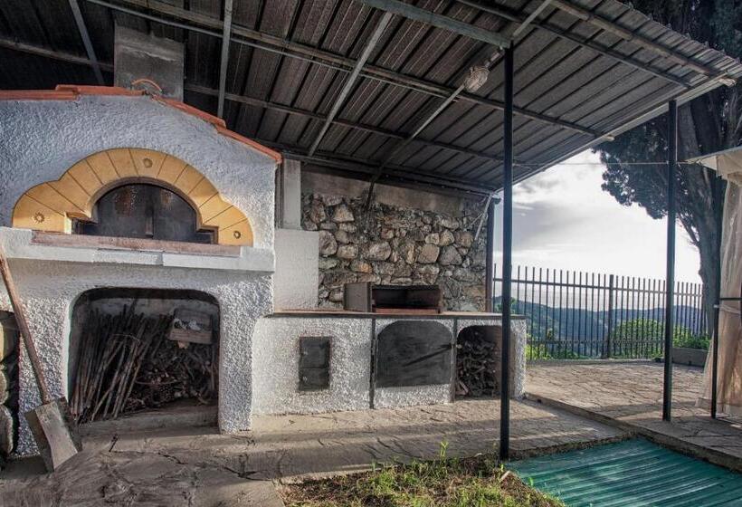 ベッドアンドブレックファースト Oasi Verde