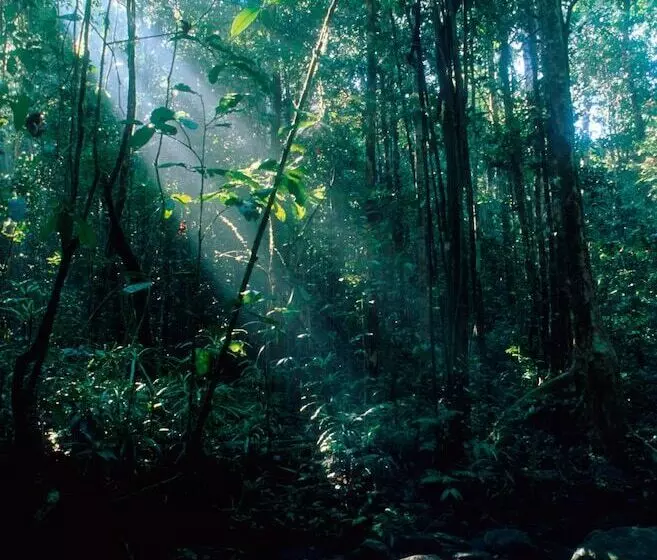 Hotelli Explorer By Eco Team   Sinharaja