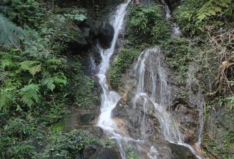 Hotelli Explorer By Eco Team   Sinharaja