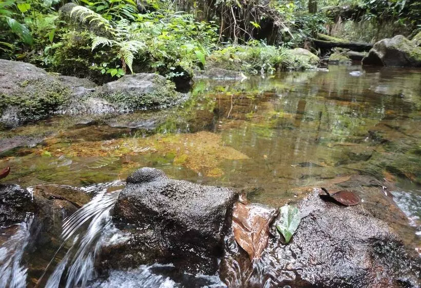 Hotelli Explorer By Eco Team   Sinharaja