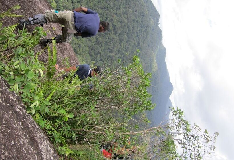 ホテル Explorer By Eco Team   Sinharaja