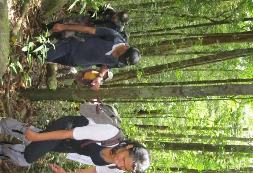 Hotelli Explorer By Eco Team   Sinharaja