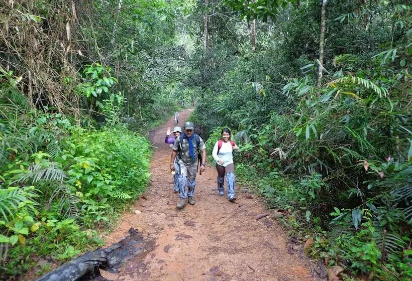 Hotelli Explorer By Eco Team   Sinharaja