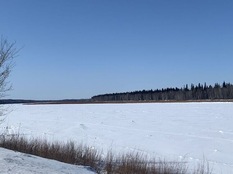 호텔 Sheridan Lawrence Inn