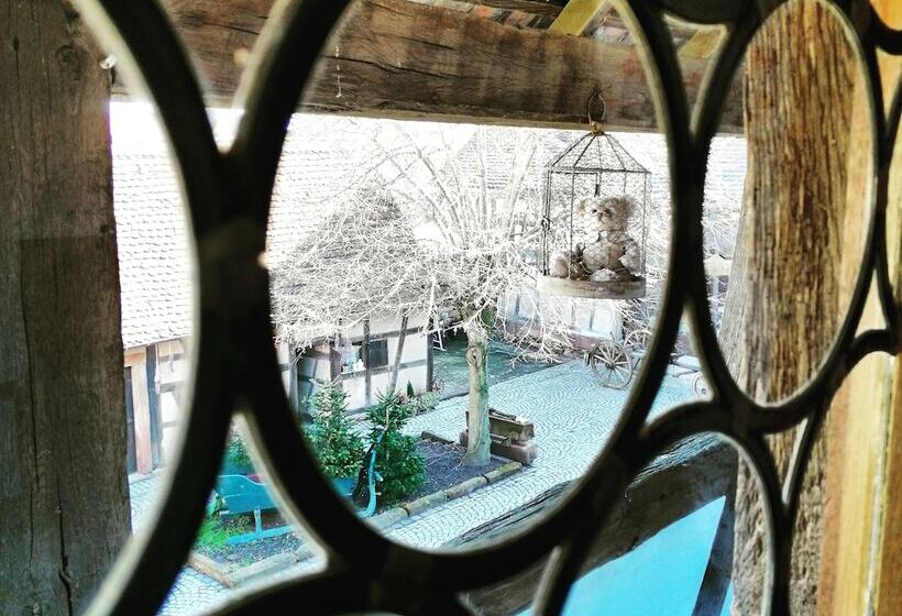 פנסיון B&b Quinze 66