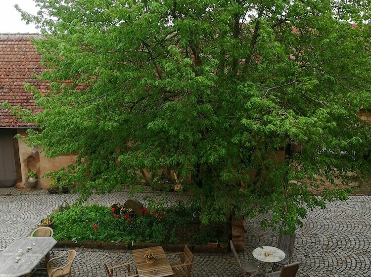 פנסיון B&b Quinze 66