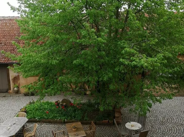 ペンション B&b Quinze 66