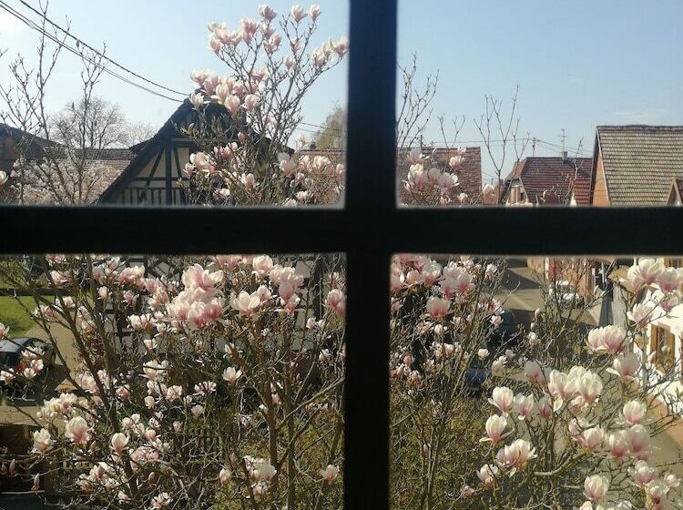 פנסיון B&b Quinze 66