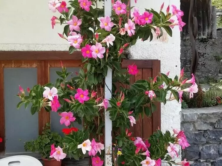 تختخواب و صبحانه La Genzianella