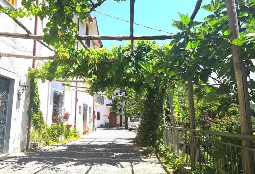 Maaseutuhotelli Agriturismo Il Castagno