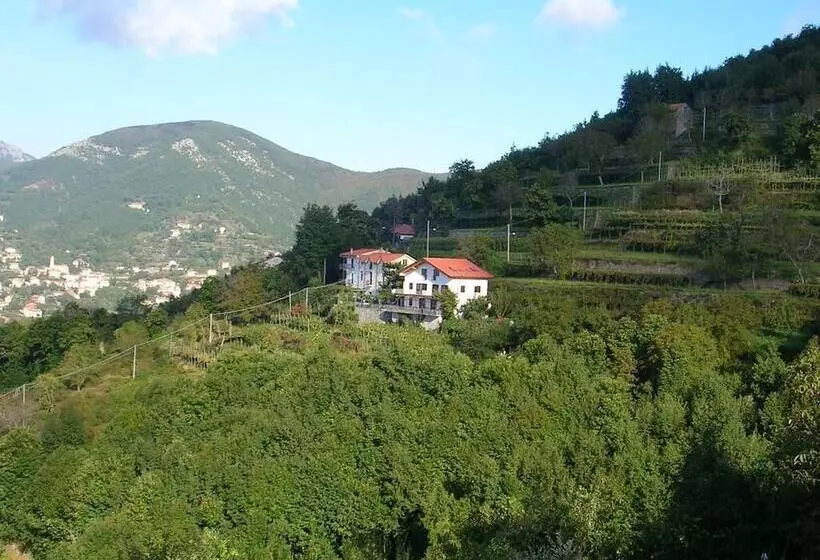 Maaseutuhotelli Agriturismo Il Castagno
